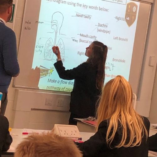 Campsmount lung dissection lesson