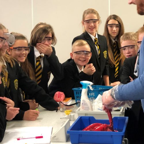 Campsmount lung dissection lesson